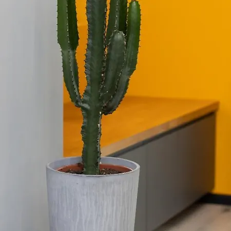 Lägenhet Industrial Pet-friendly With Movie Projector By Renters *